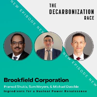 Ingredients for a Nuclear Power Renaissance with Brookfield All-Star Panel Ingredients for a Nuclear Power Renaissance with Brookfield All-Star Panel