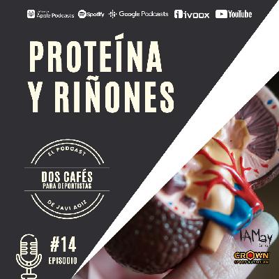 14 PROTEÍNAS Y RIÑÓN