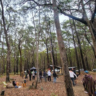 Harry Blotter - Forest & Psytrance set (Private Gathering - Vic Bush) Jan 2025