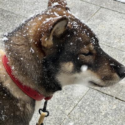 主婦が大学院生になる前の心得