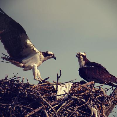 Det er hans feil om dere ikke har det bra sammen