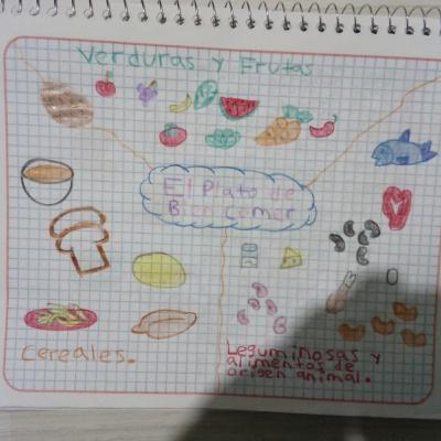 El plato del bien comer 🍓🥕🥚🥗