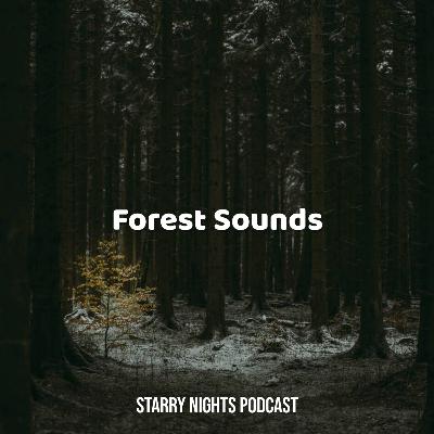3hrs of Forest Soundscape to Help You Sleep, Relax, & Beat Insomnia