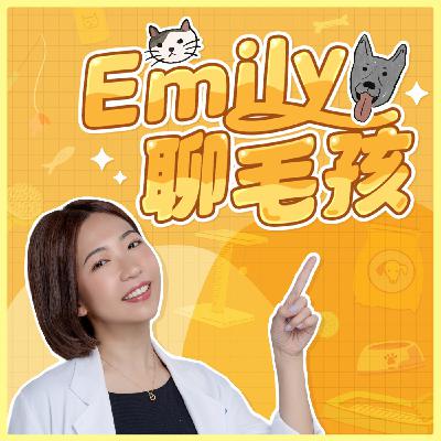 EP.6 貓咪吐毛球正不正常！ 吐毛球三迷思！