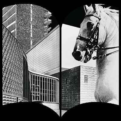 NNS01: Carlo Mollino. Architect and Storyteller NNS01: Carlo Mollino. Architect and Storyteller