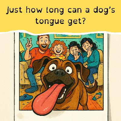 World watches as ban kicks in, and Rwanda’s dancing gorilla World watches as ban kicks in, and Rwanda’s dancing gorilla