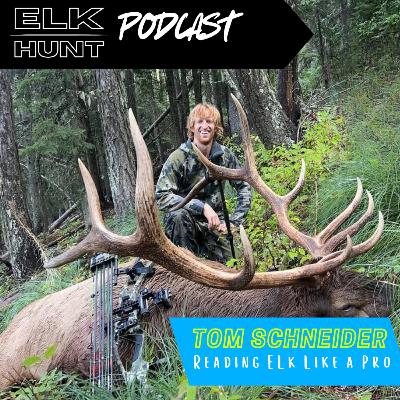 Reading Elk Like a Pro: Herd Dynamics and Solo Strategies with Tom Schneider Reading Elk Like a Pro: Herd Dynamics and Solo Strategies with Tom Schneider