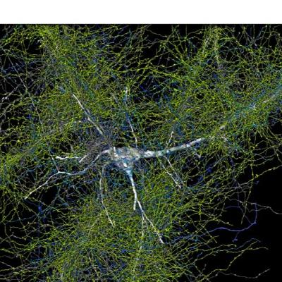 Gemini 1.5 is like the brain. How a conversation with Jeff Dean changed my direction. Gemini 1.5 is like the brain. How a conversation with Jeff Dean changed my direction.