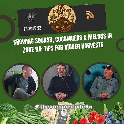 Growing Squash, Cucumbers & Melons in Zone 9a: Tips for Bigger Harvests