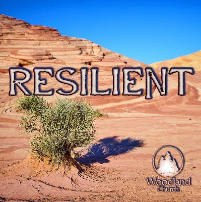 RESILIENT