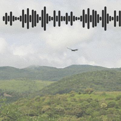 Tlanonotsale I Tlanonotsale I