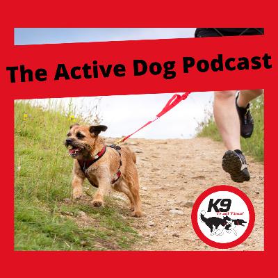 Episode 6: Canicrossing with a small dog