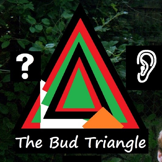 The Bud Triangle podcast artwork