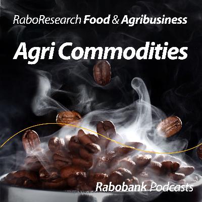 Espresso economics: The coffee rally explained