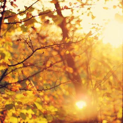 第二十一期|Autumn 第二十一期|Autumn