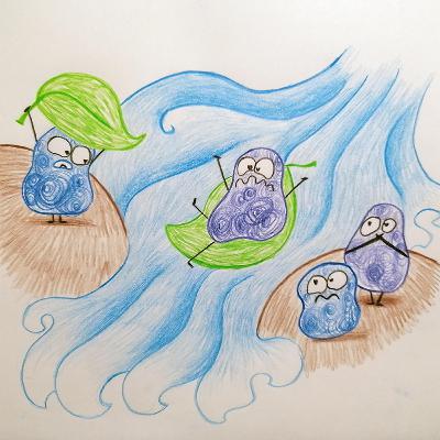 Die kleine Hexe Dorothee und die Flutwelle