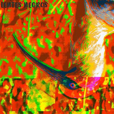Lentes Negros Bits: El Bolsón