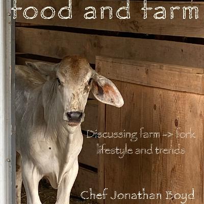 5 reasons I homestead