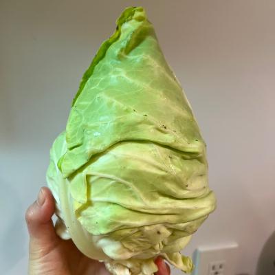 #1 代々木公園で転んで泣きました