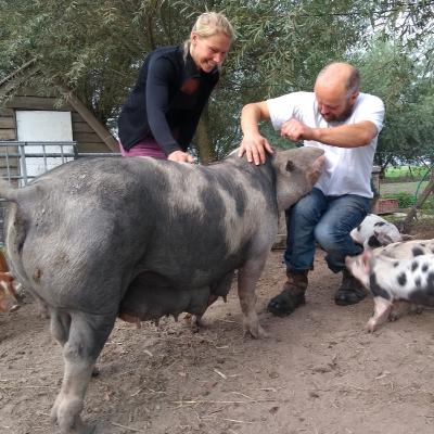 Raapzaad 14 Waddenvarkens in Uithuizermeeden