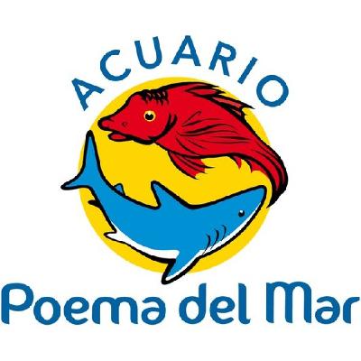 Simposio de Dragones Marinos (05-12-25)