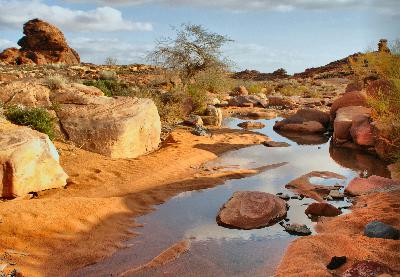 IMMERSION: The Elements of AlUla: Arabia’s Lost City and the Power of Water
