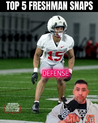 Top 5 Buckeye Freshman defensive edition. Julian Sayin ir CJ Carr? Top 5 Buckeye Freshman defensive edition. Julian Sayin ir CJ Carr?
