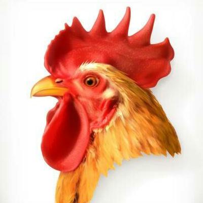 EPS 02// KITA LAGI NGOMONGIN KAMU.. "KITA GEDE DI RENTAL, PASTI KAMU JUGA"