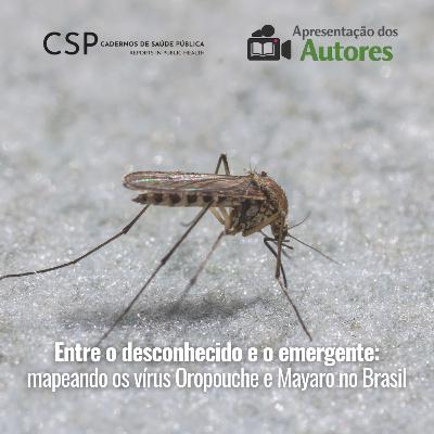 Entre o desconhecido e o emergente: mapeando os vírus Oropouche e Mayaro no Brasil | CSPcast 74# Entre o desconhecido e o emergente: mapeando os vírus Oropouche e Mayaro no Brasil | CSPcast 74#