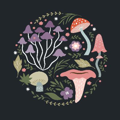 2 - ADOPTION