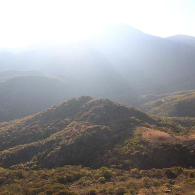 La muerte es una amiga