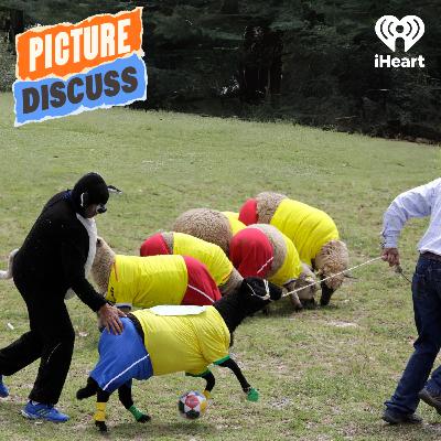 Sheep Soccer (Alex Ward & Chris Parker)