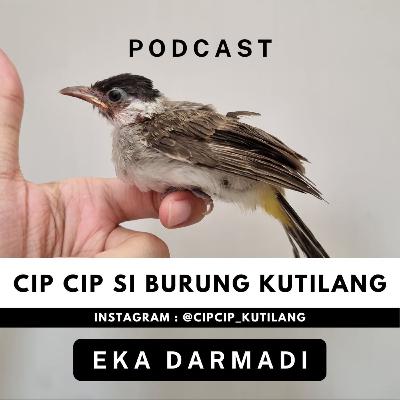 Cip Cip si Burung Kutilang