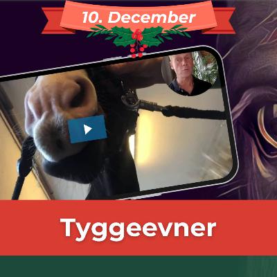 TYGGEEVNER (10. dec) Lær at teste, om din hest kan have problemer med tænderne