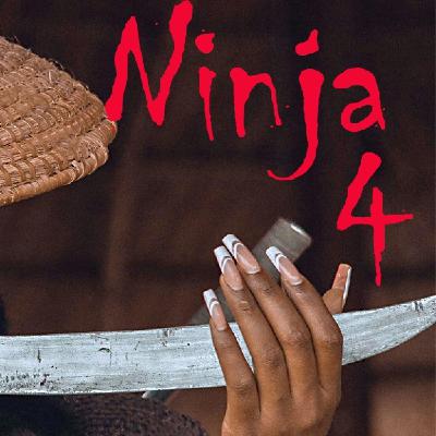 DESARROLLO PERSONAL NINJA #4 DESARROLLO PERSONAL NINJA #4