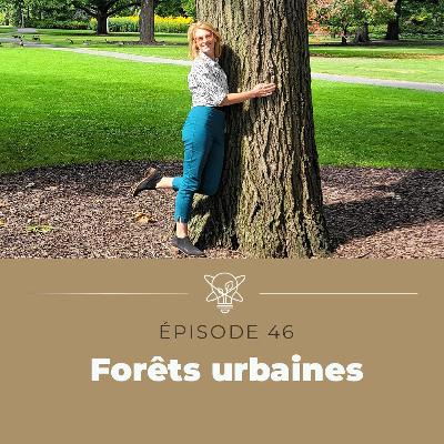 Qu’est-ce qu’une forêt urbaine?
