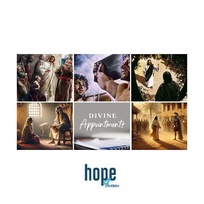 Divine Appointments: Part 1 - Zacchaeus
