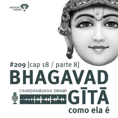 #209 O que é consciência de Krishna?