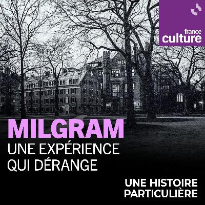 Milgram, une expérience qui dérange 2/2 : Milgram aujourd'hui
