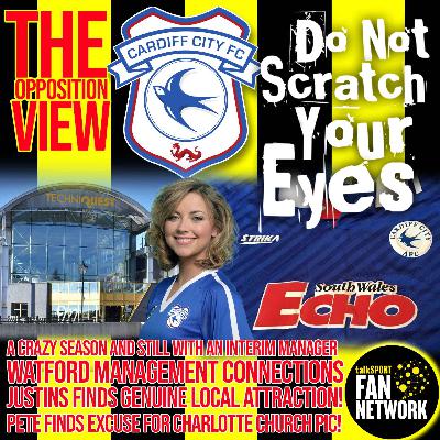 THE OPPOSITION VIEW - Cardiff City (Away) THE OPPOSITION VIEW - Cardiff City (Away)