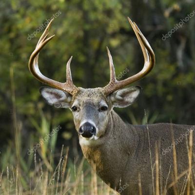 Bickering about 2025 pt 2 - Bickering Bucks Ep 27