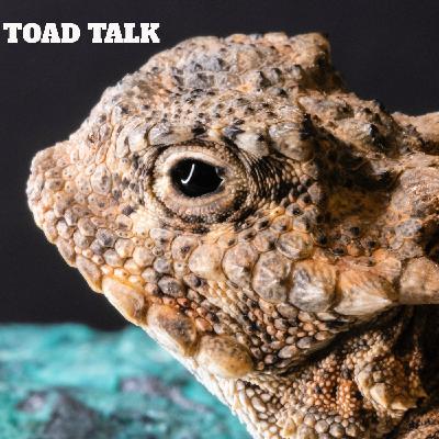 Episode 267: Toad Talk Episode 267