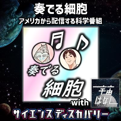 奏でる細胞:アメリカから配信する科学番組(佐々木亮の宇宙ばなしとの特別コラボ) 奏でる細胞:アメリカから配信する科学番組(佐々木亮の宇宙ばなしとの特別コラボ)