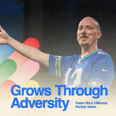 Grows Through Aversity
