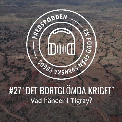 #27 Det bortglömda kriget - Vad händer i Tigray?