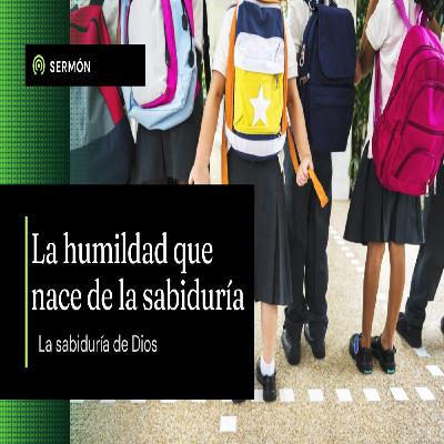 Sabiduría Celestial: El Camino Hacia la Paz Verdadera