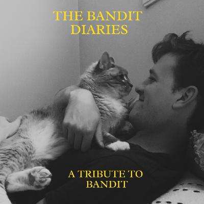 The Bandit Diaries