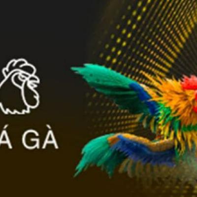 Đá Gà 888B⁠ VIP