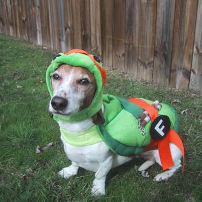 Podcast de Angel #10: Teenage Mutant Ninja Chavos