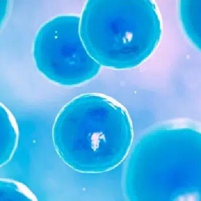 Audioblog. Procedimientos para llegar a un estado pluripotente Audioblog. Procedimientos para llegar a un estado pluripotente